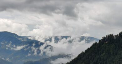 Monsoon to touch Himachal on June 19-20 HIMACHAL HEADLINES