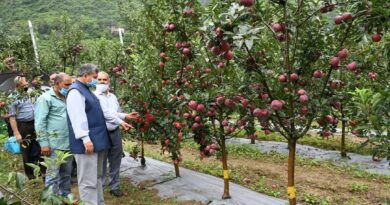 Adopt scientific techniques to enhance apple production: Vice chancellor HIMACHAL HEADLINES