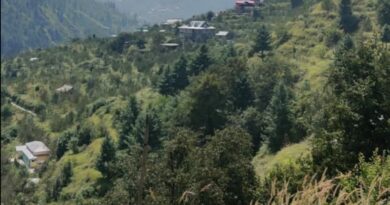 Four die in road mishaps in Una and Mandi in Himachal HIMACHAL HEADLINES