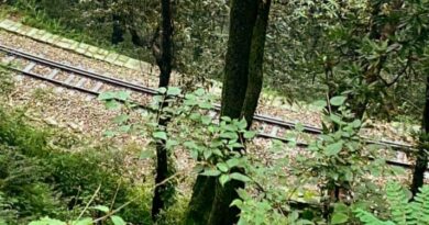 Major mishap averted: Rail car derails on Kalka-Shimla rail line HIMACHAL HEADLINES