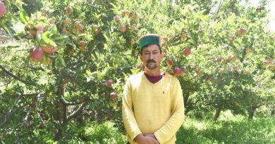 1084 farmer switched over to natural farming in Kinnuar district HIMACHAL HEADLINES