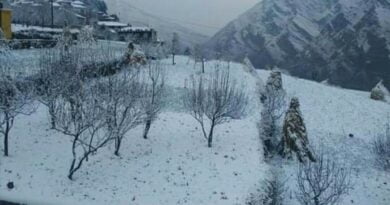 Light Snowfalls in tourist resort Kufri & Narkanda HIMACHAL HEADLINES