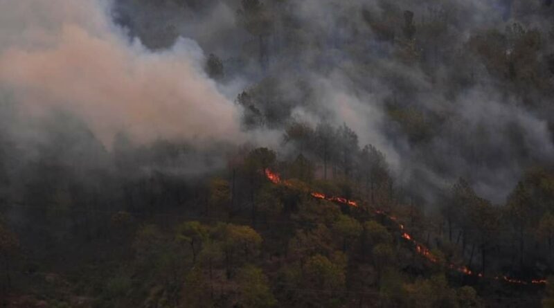Heatwave triggers more house and Forest Fire HIMACHAL HEADLINES