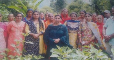 Women of Panjayanu village of Mandi district set an example with innovative efforts in natural farming HIMACHAL HEADLINES
