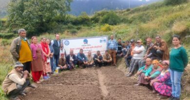 CSIR-IHBT Promoting Saffron Cultivation in Himachal HIMACHAL HEADLINES