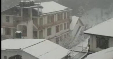 Tourist in Manali Dalhousie, Khajjair Narkanda &  Kufri receive snowfall HIMACHAL HEADLINES
