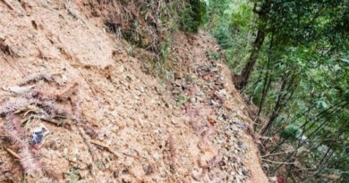 Two laborers die in landslide mishap in Himachal HIMACHAL HEADLINES