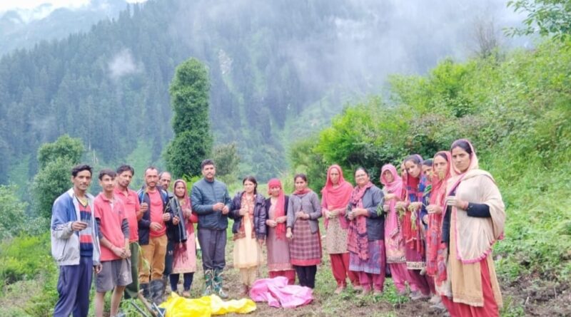 CSIR- IHBT Palampur helping farmers cultivate aromatic crops in vacant land HIMACHAL HEADLINES