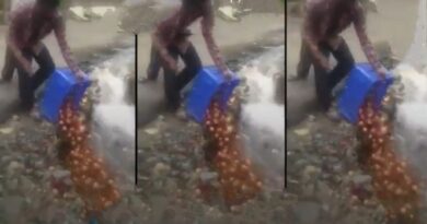 Apple grower dumps rotten apples in water stream - Pollution Control Board slaps Rs One Lakh fine HIMACHAL HEADLINES