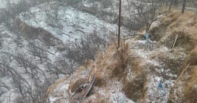 Higher reaches of Himachal experience light spells of snow HIMACHAL HEADLINES